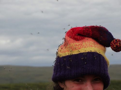 Photo: 2014-mountaineer-rachel-oldfather-swag.jpg